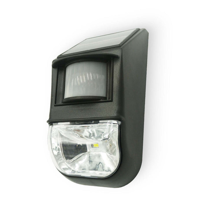 Solar-Powered Motion Sensor Light